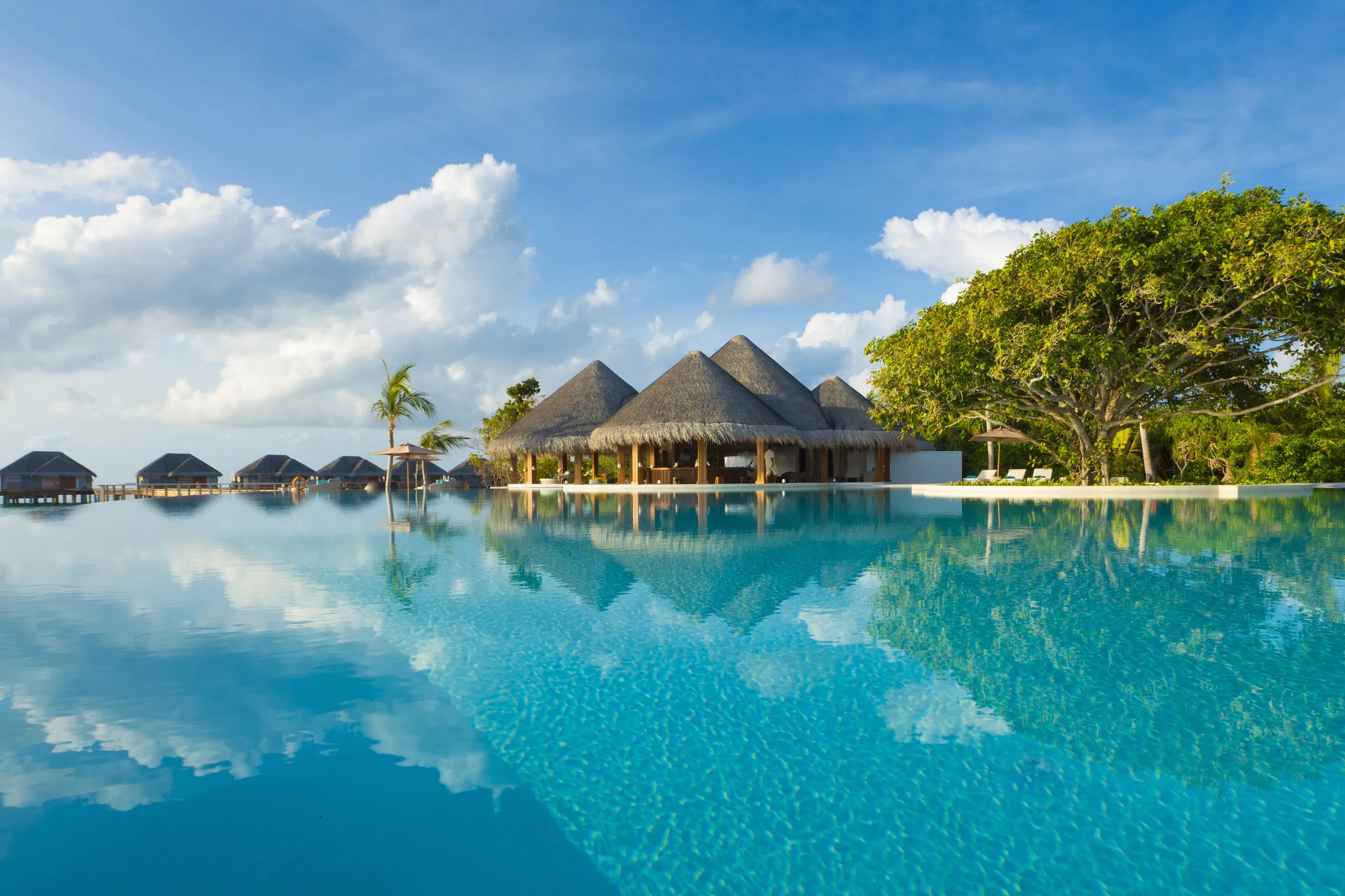 Swimming Infinity Pool - pic 2